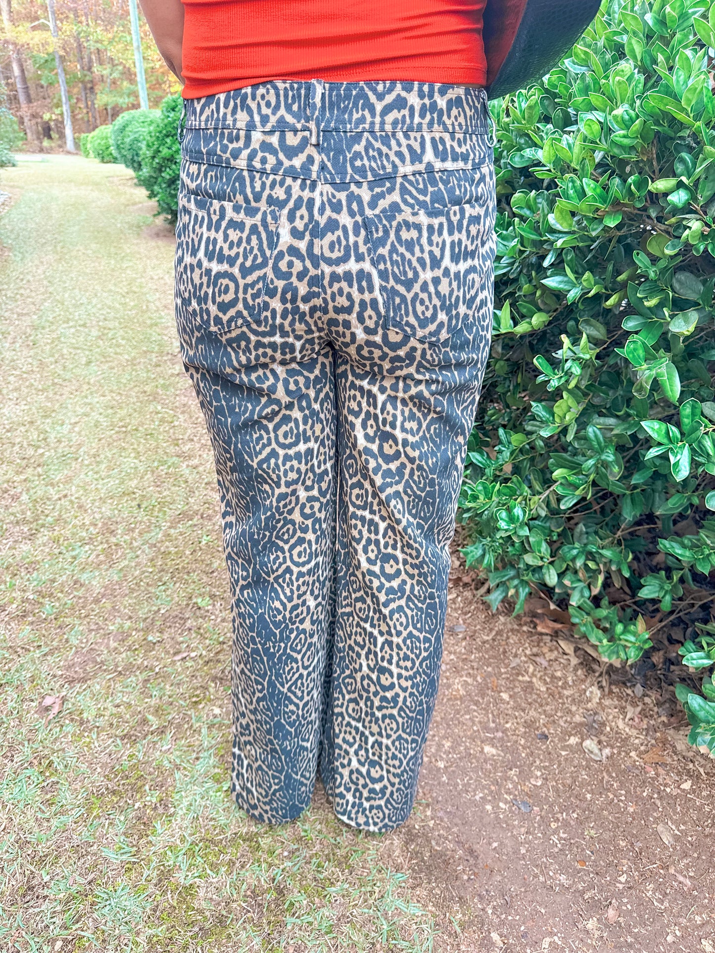 Lainey - Leopard Pants